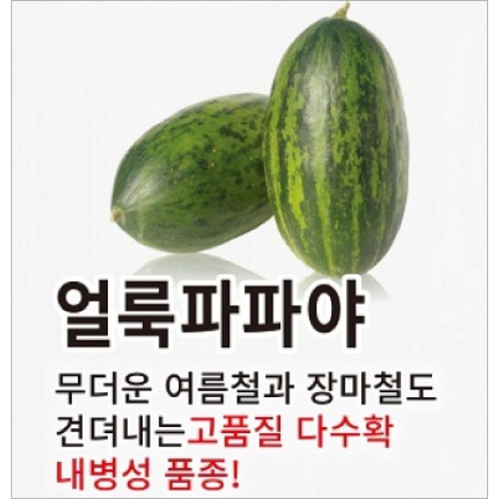 (아시아종묘/멜론씨앗종자)  얼룩파파야(10립)